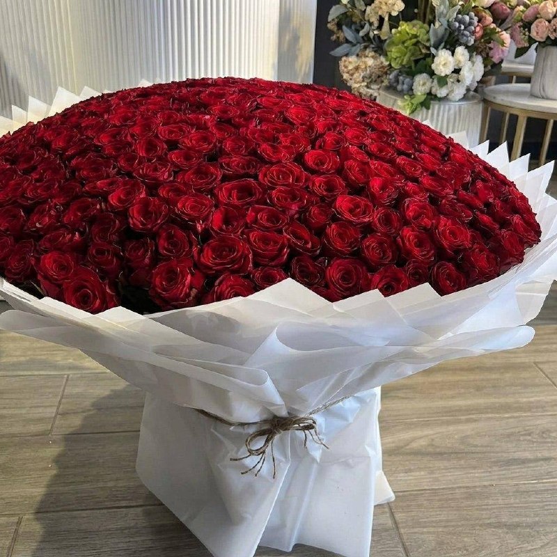 Алый купол умиротворение